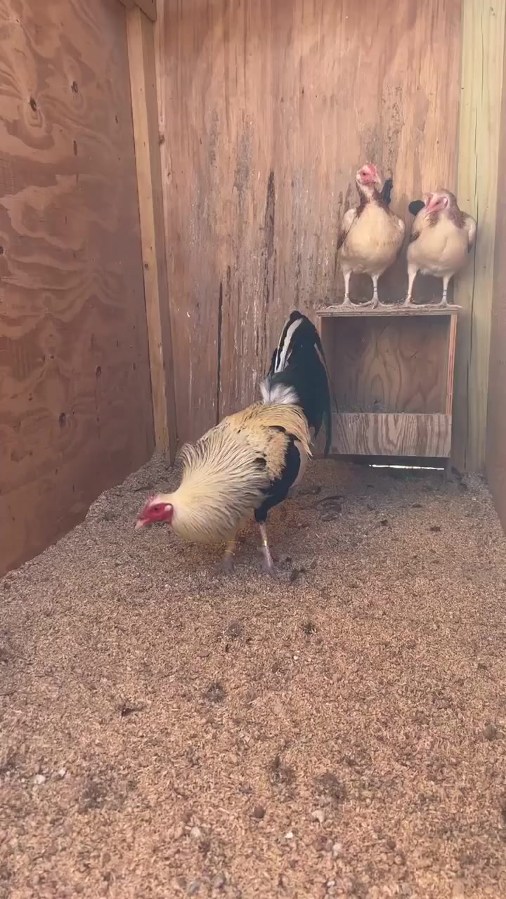 @G3 Farm & Fowl Supplies