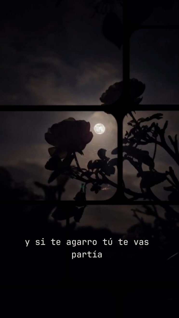 @hideyoshinen 🥀