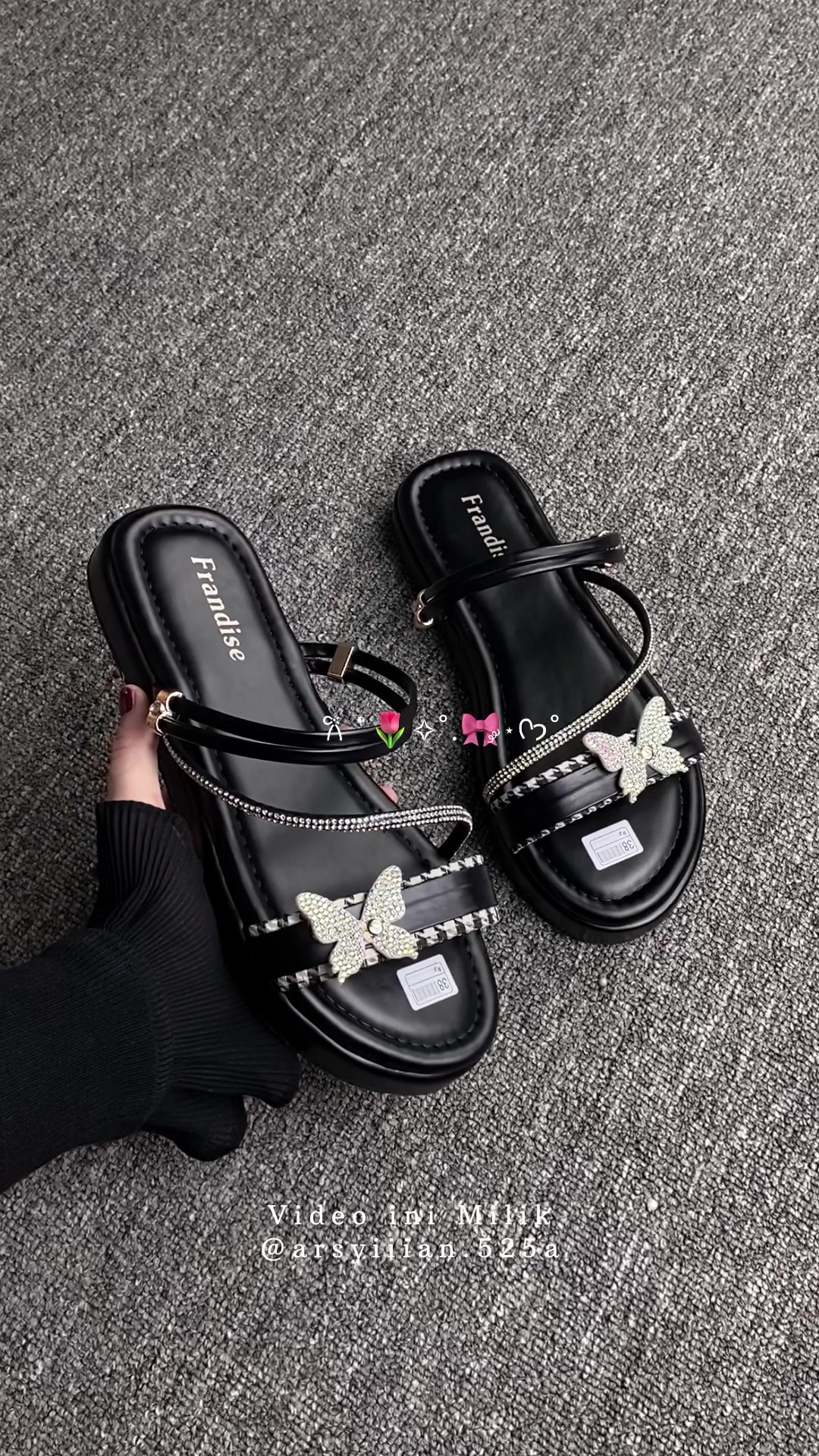 @Cikun🍉