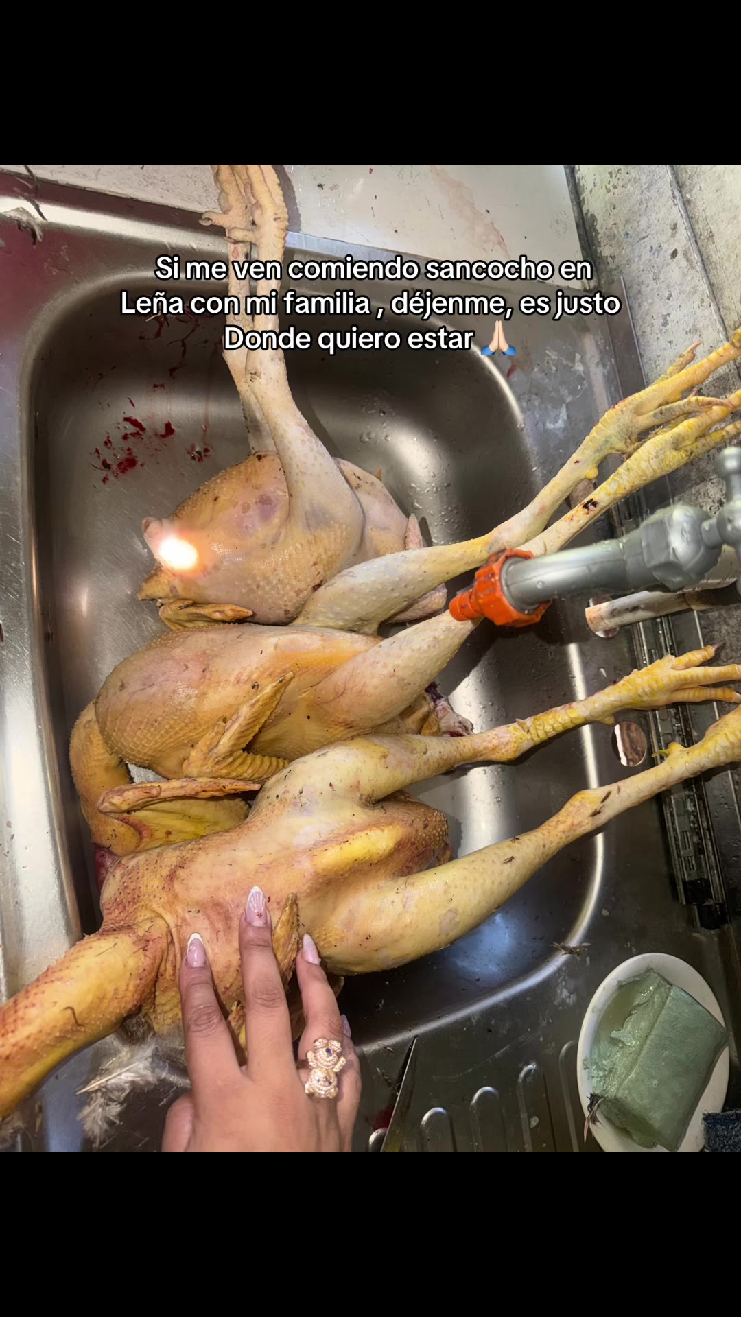@mayely Rodr&iacute;guez_25