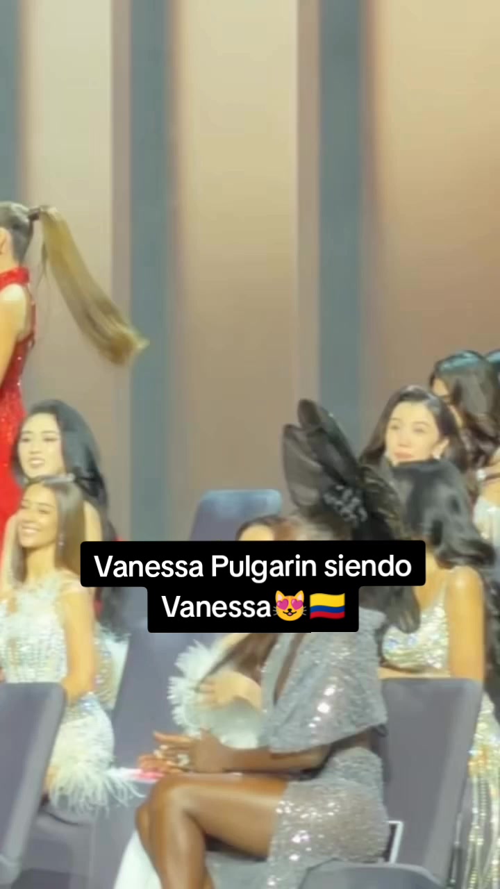 @las_top1