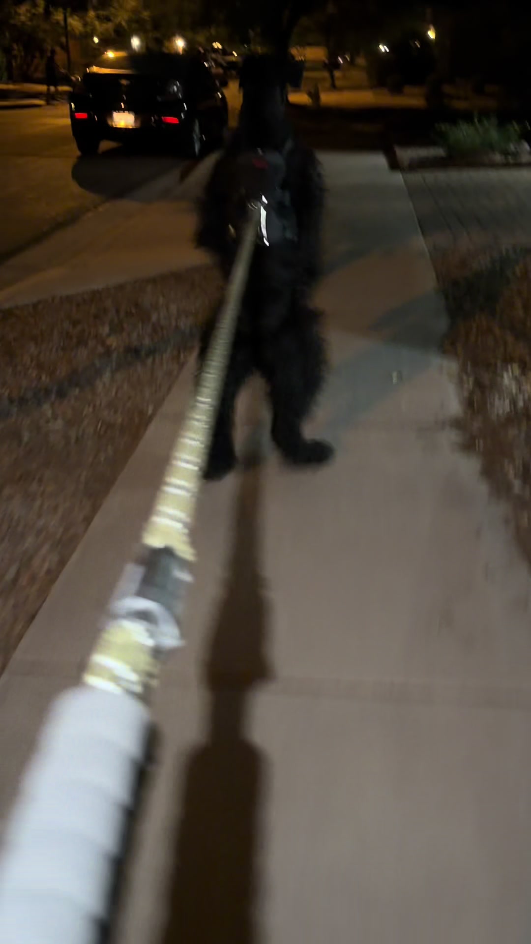 @Fiona Walks