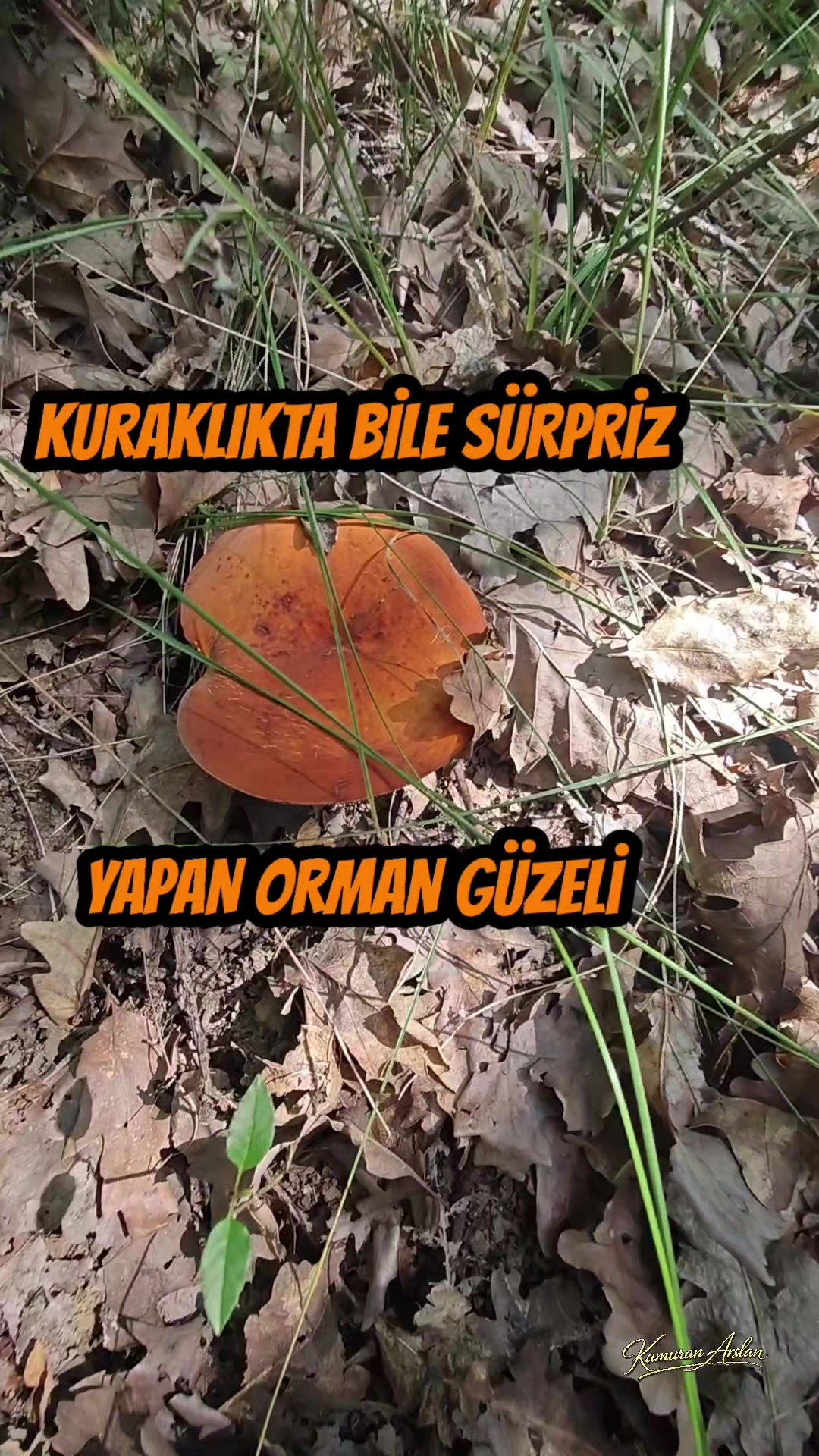 @Kamuran Arslan