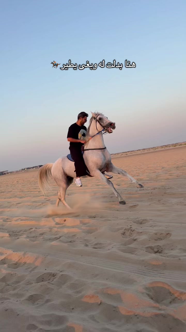 @عصام القرني
