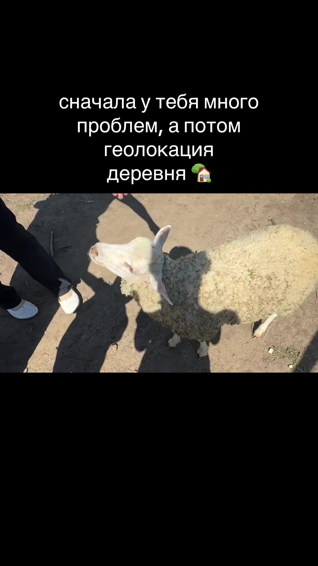 @Дели