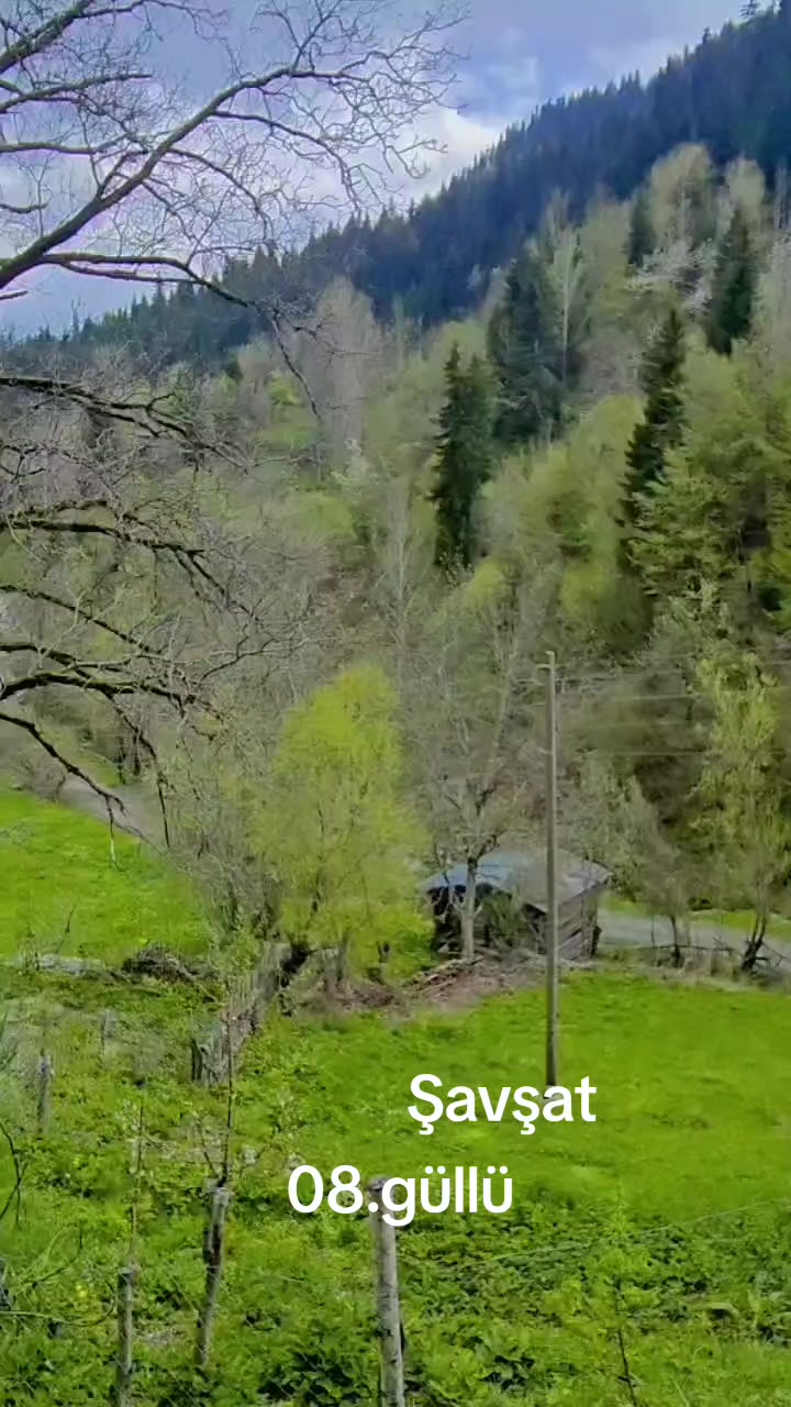 @08.G&Uuml;LL&Uuml;