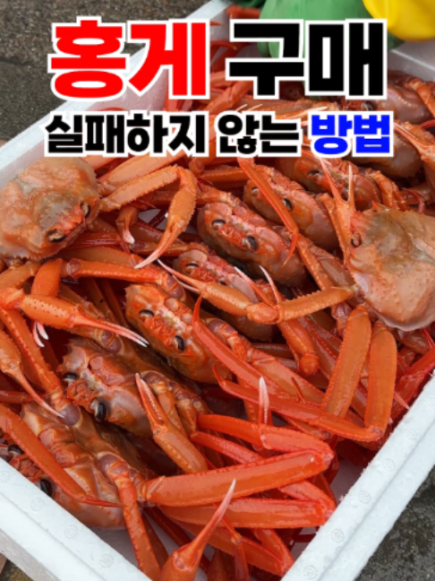 @싱싱헌터스