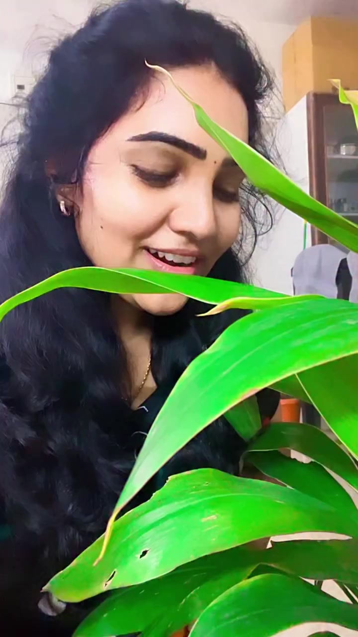@జి శ్రీనివాసరావు పాలకొల్లు