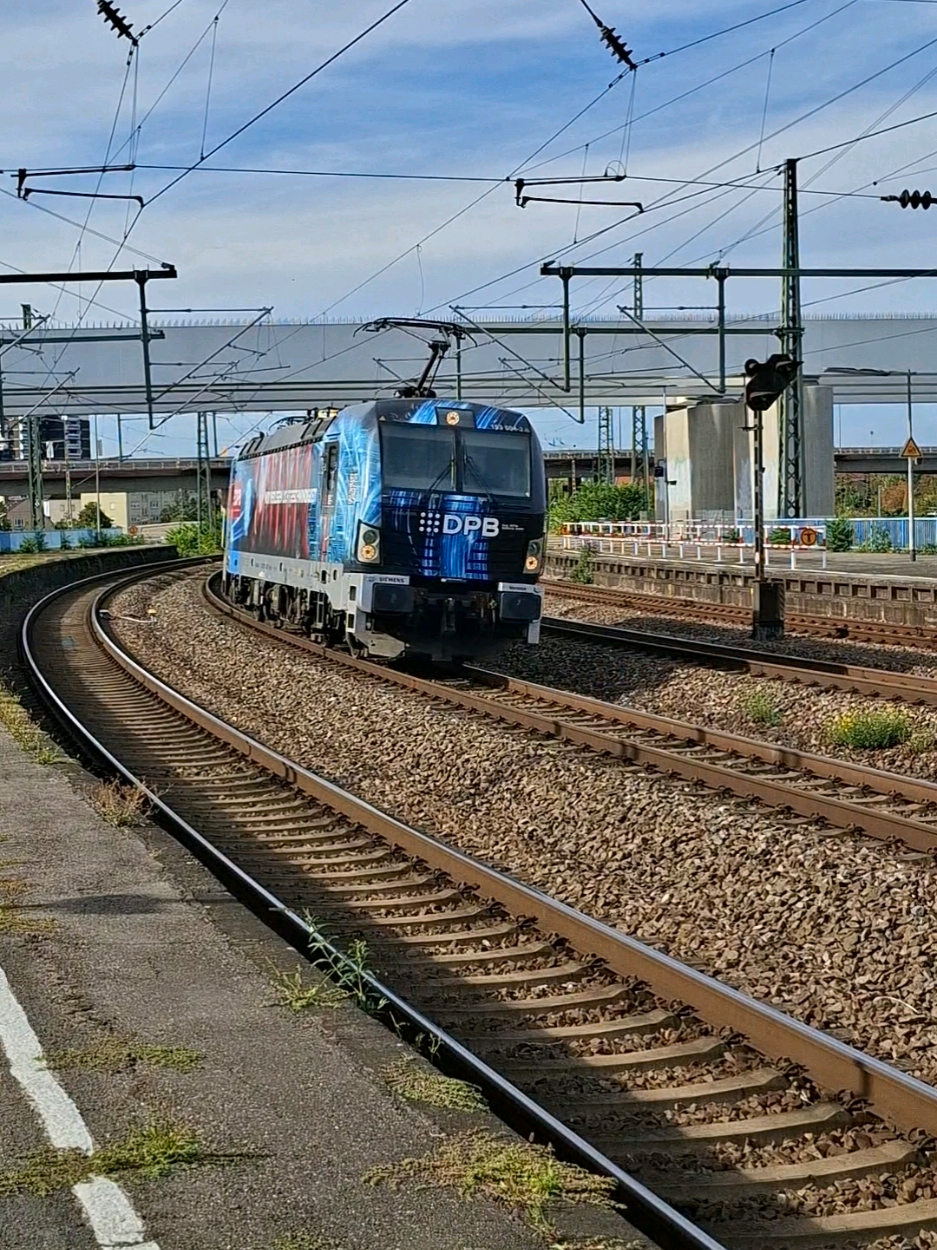 @🚂TS_Femboy_Chase💜
