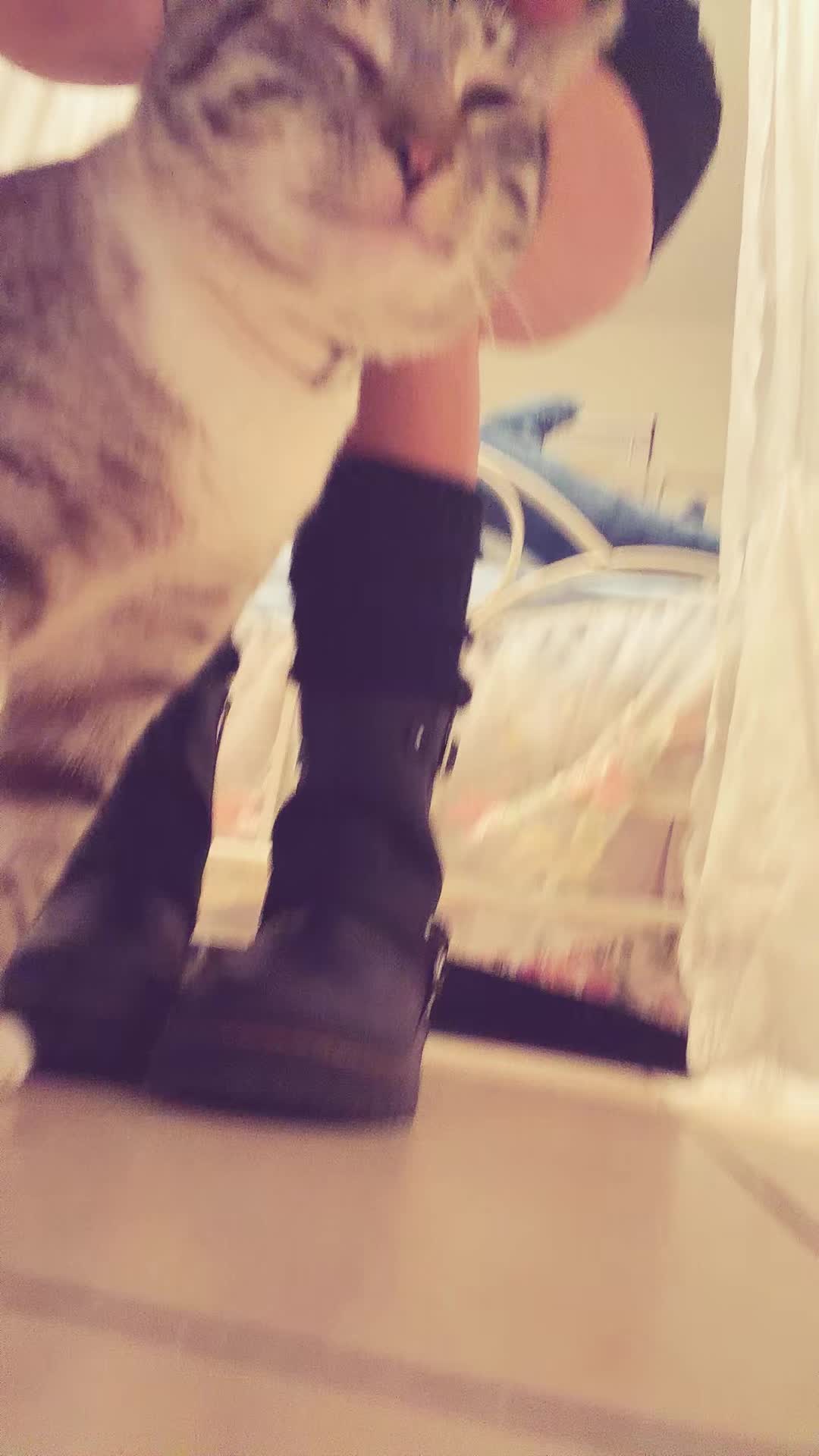 @moonsharkk