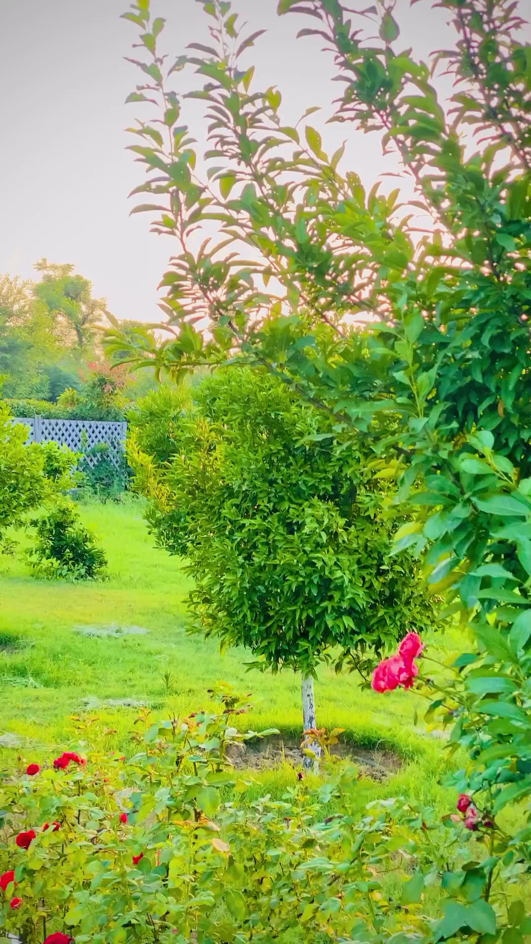 @🥷SAMEER KHAN RAJPOOT🦅