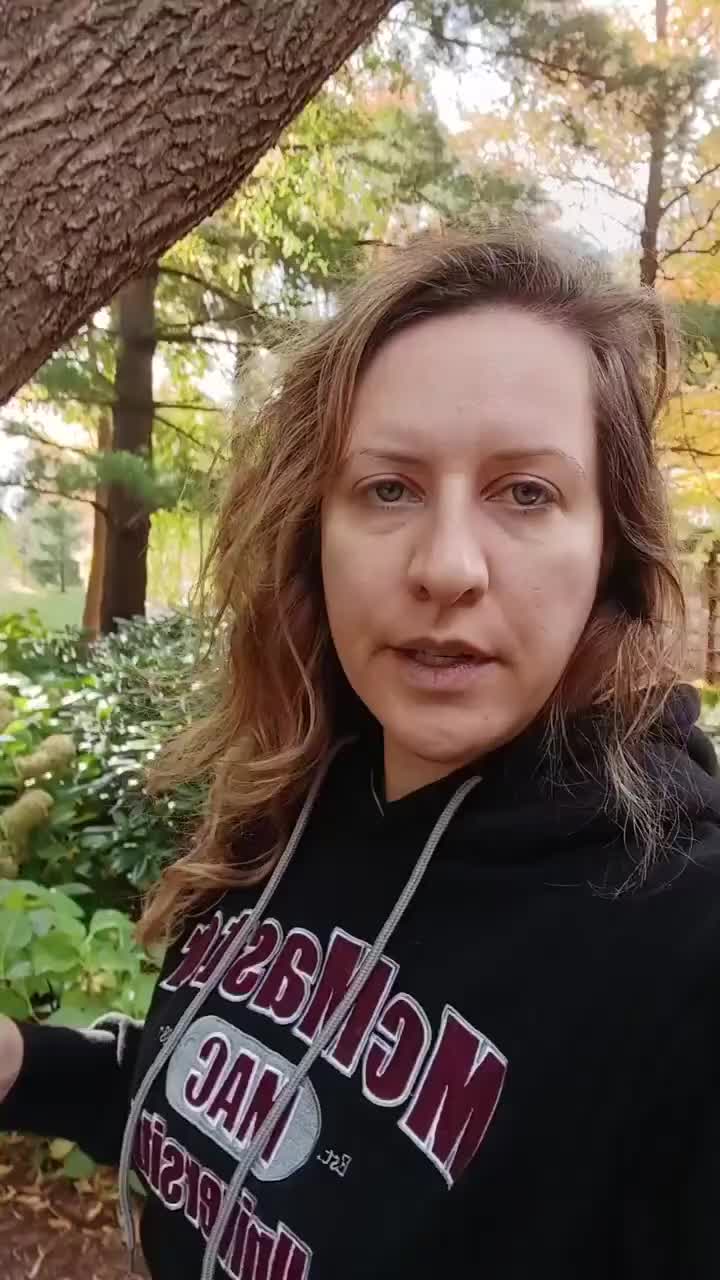 @SYLVIA KMIECIK