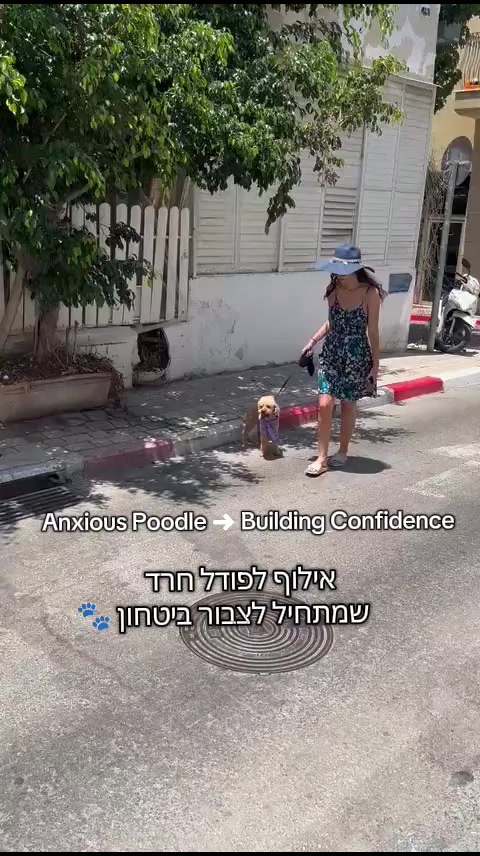 @sapir_and_julie