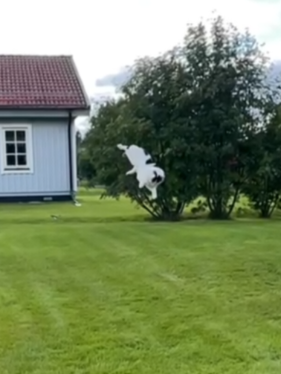 @Kalle Mäki