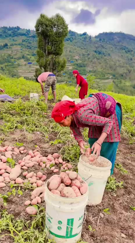 @Tekam Dangi