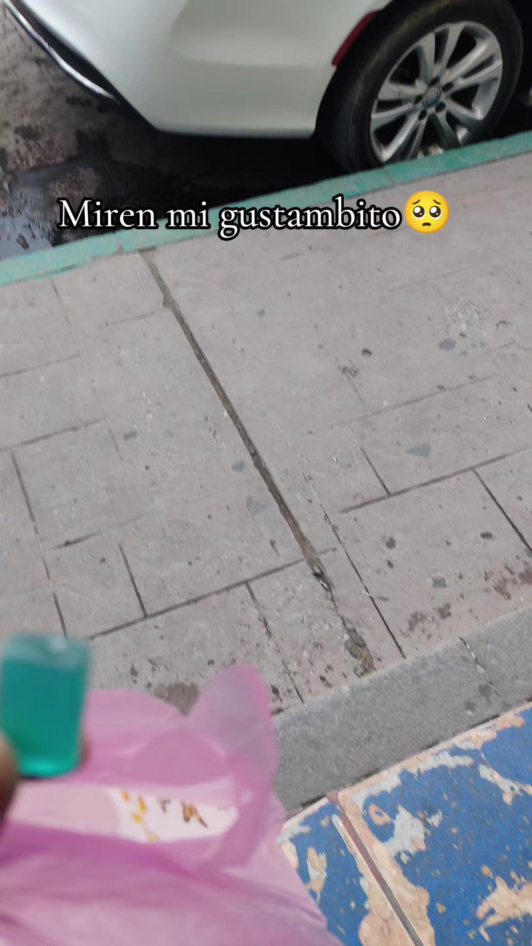 @FazoVidales🦝