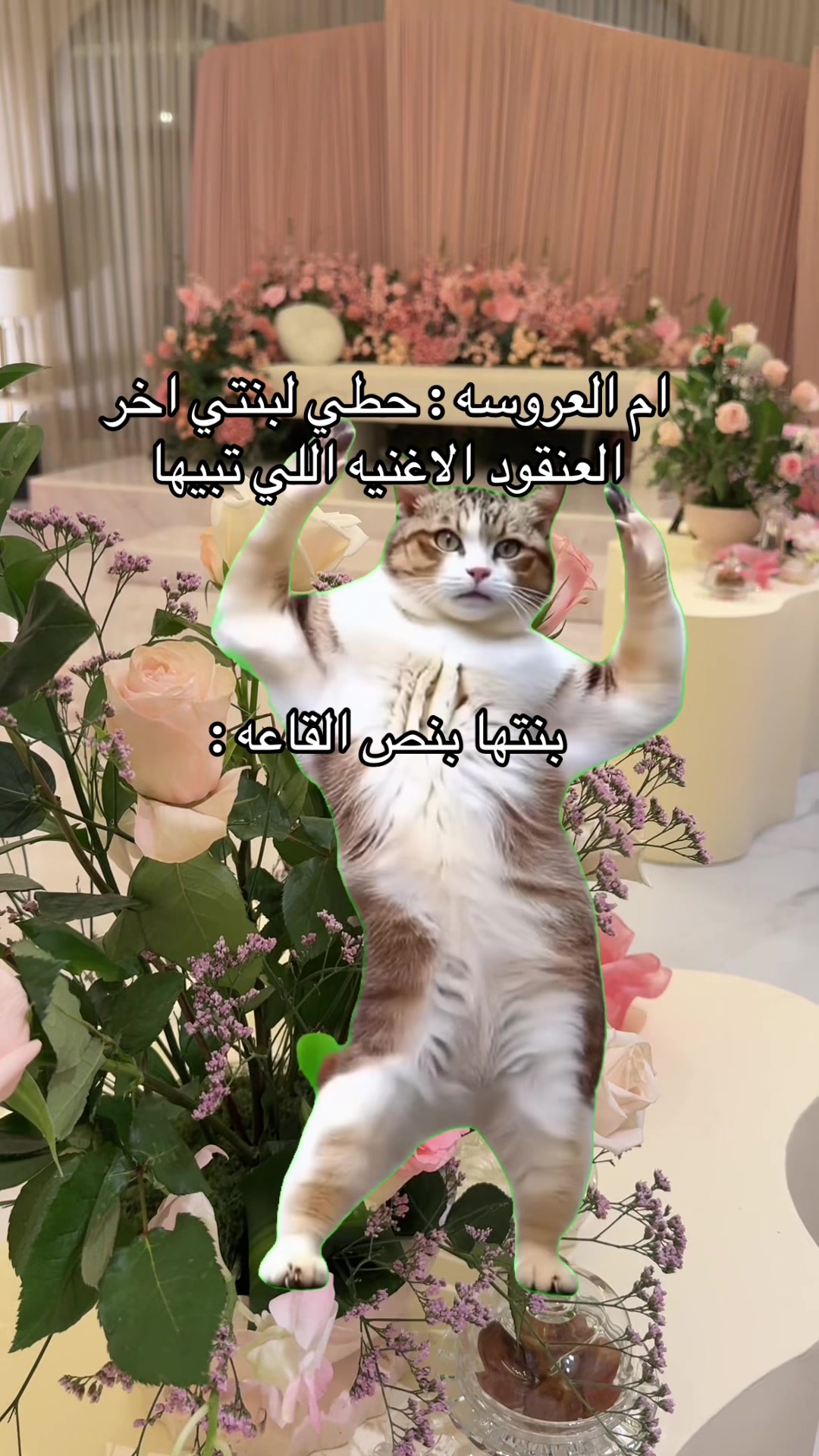 @دي جي ميوش 💃🏼🎼