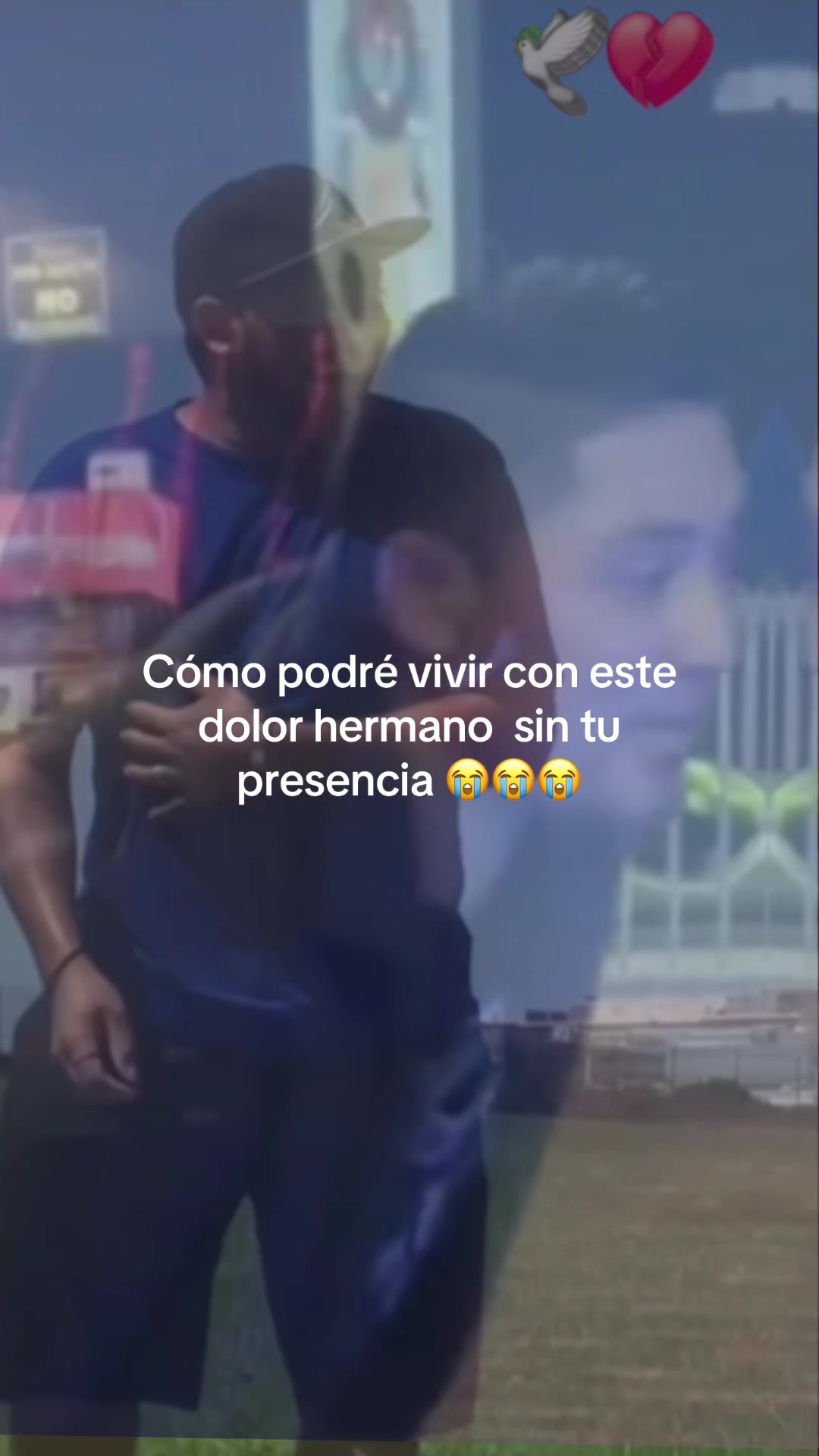 @sofibertotti