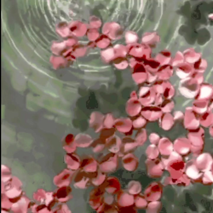 @ᩰ ᩙ🍭Ⓕᥙᥙ𝗍ᥲ/Ⓟí𐌗ỉꫀ ꨄ Ⓜꪖթթỉ˚ᧆ