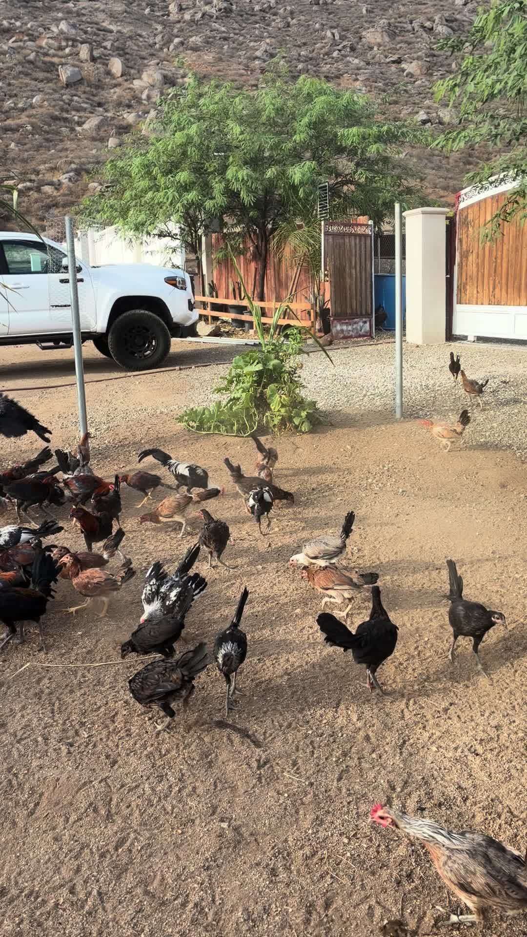 @A.MENDOZA.FARM.USA 74HWY