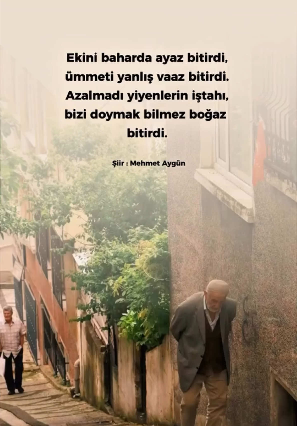 @Mehmet Aygün