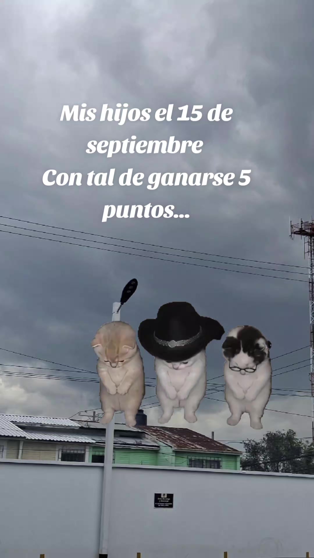 @RevolorioJuanita💖