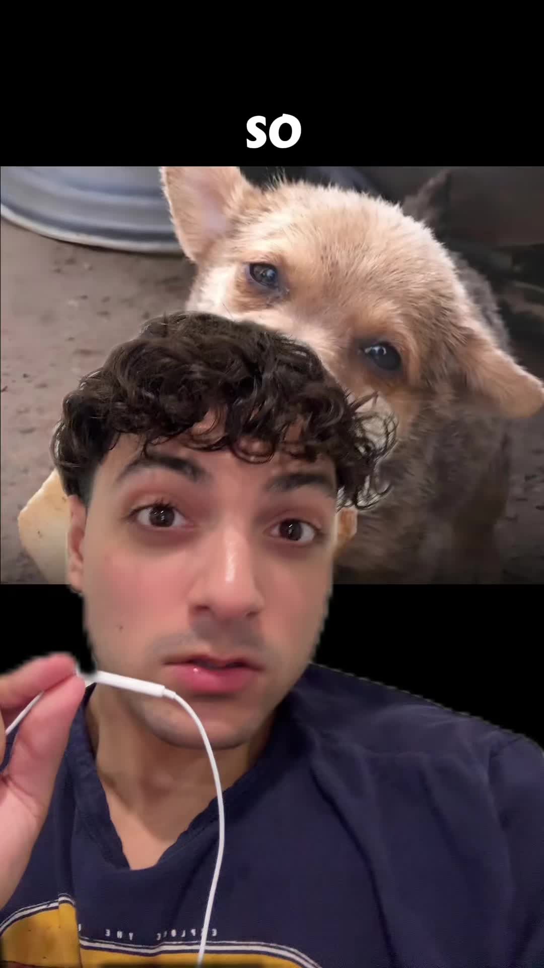 @Sbladn