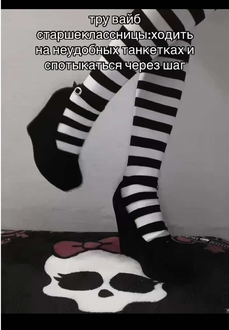 @m3ll 🐾