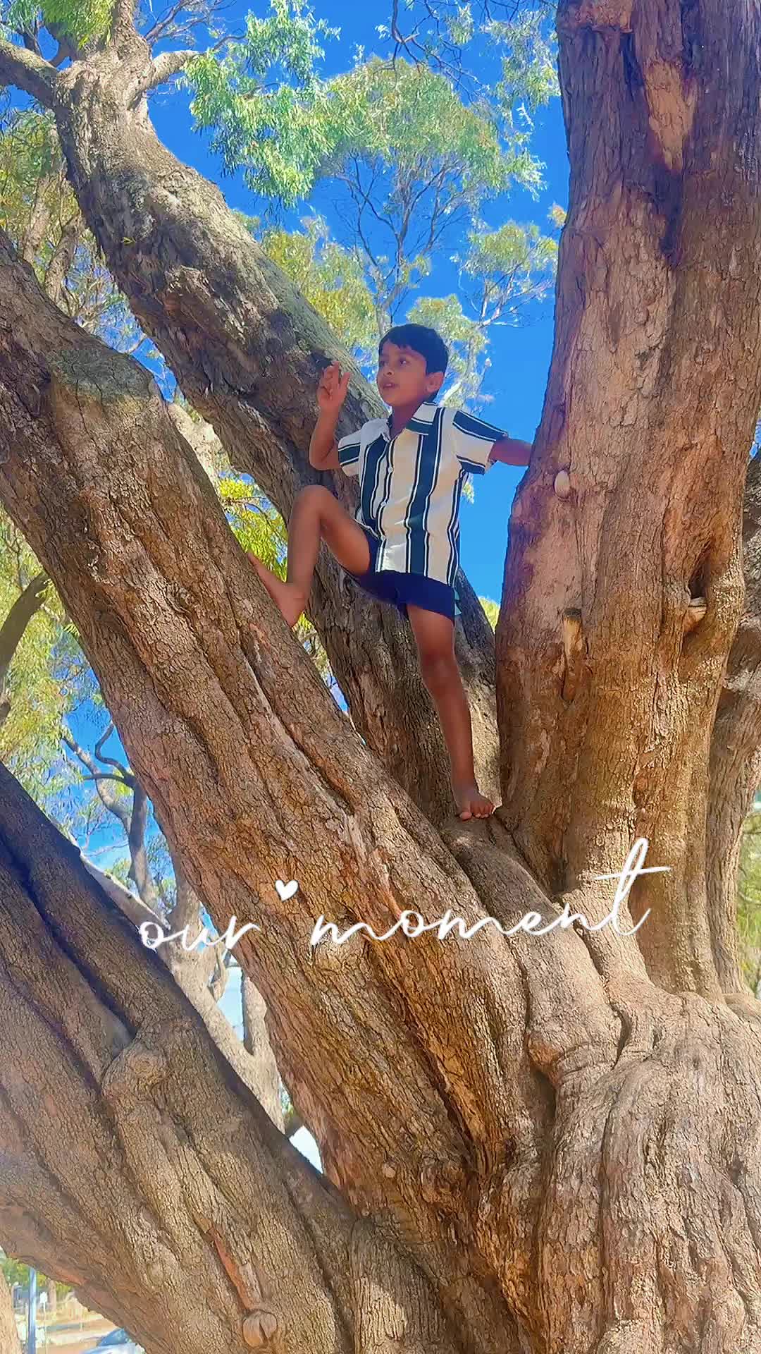 @Jigar Sheth