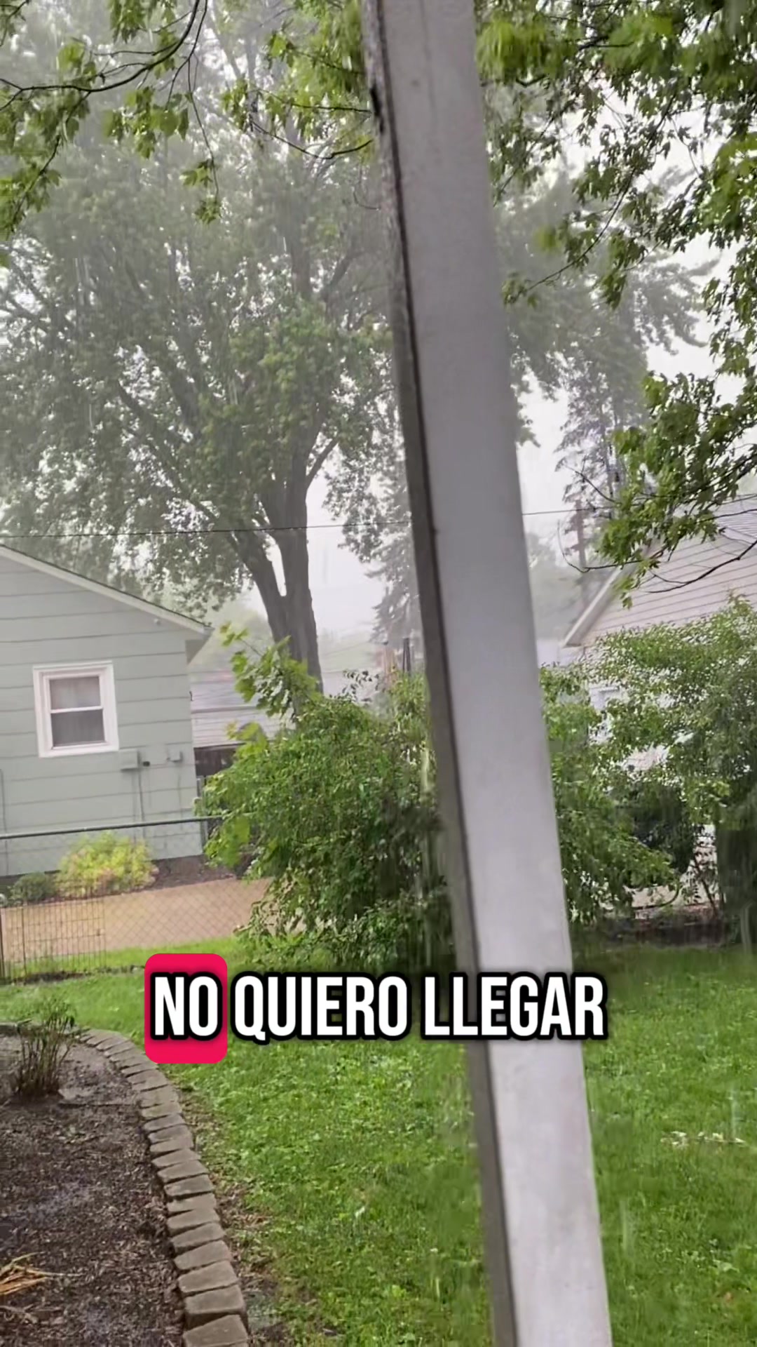 @Marcela