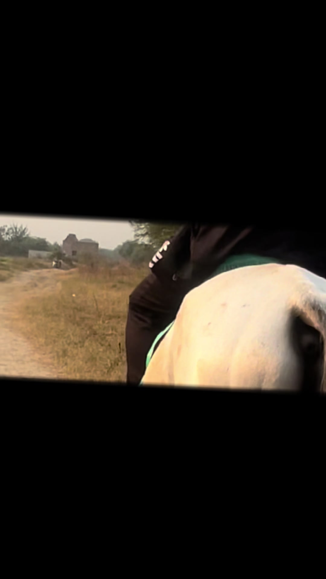 @Nouman Awan