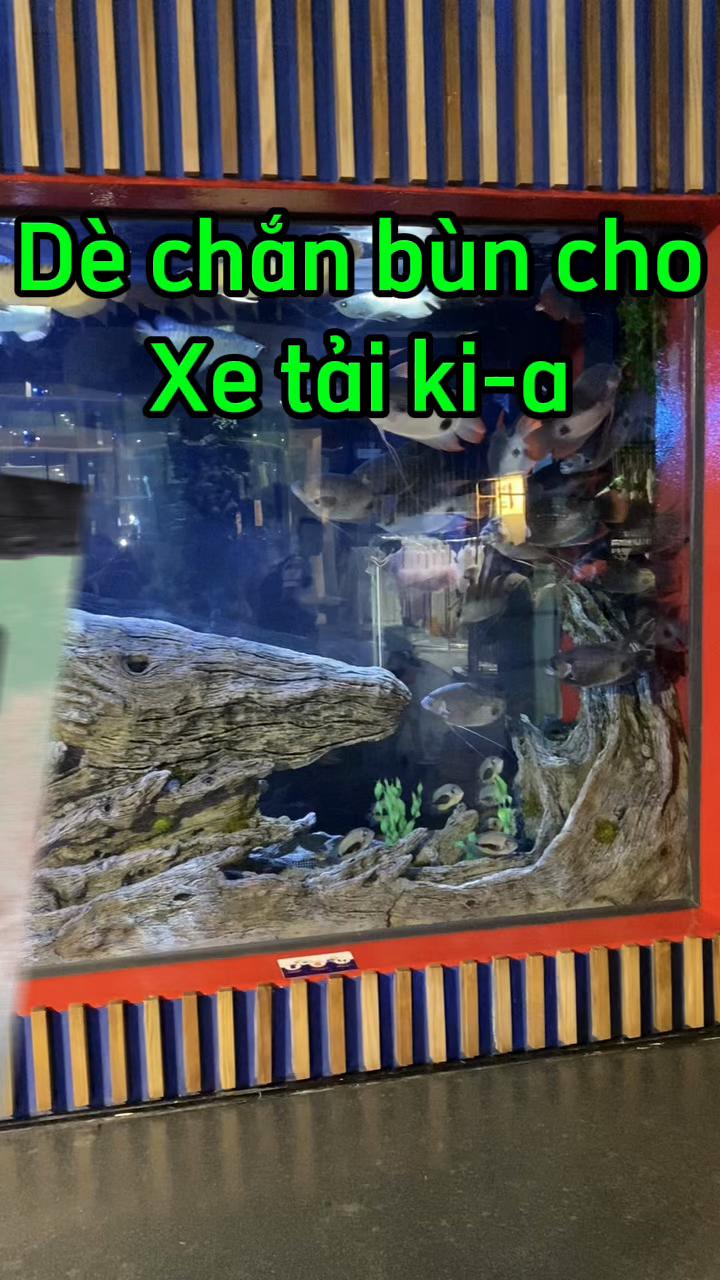 @Phụ kiện &ocirc; t&ocirc; Ho&agrave;ng B&aacute;ch