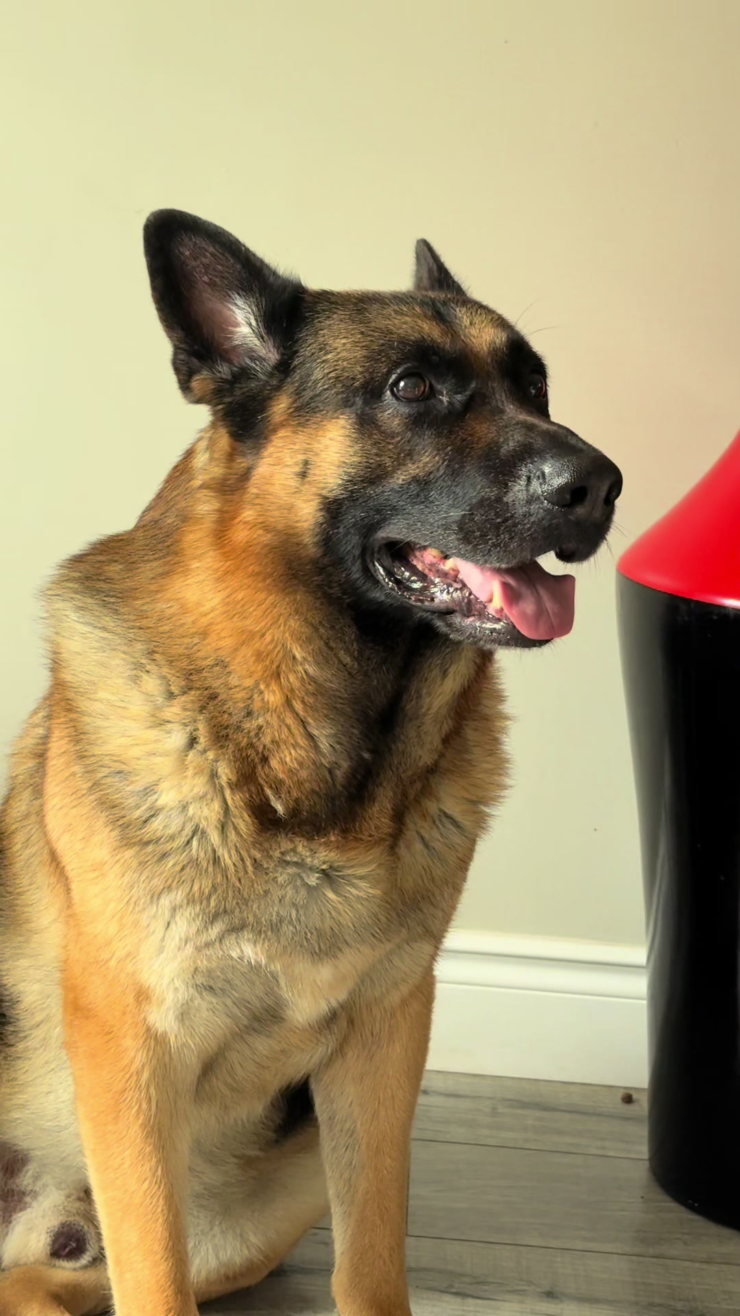 @Martygsd