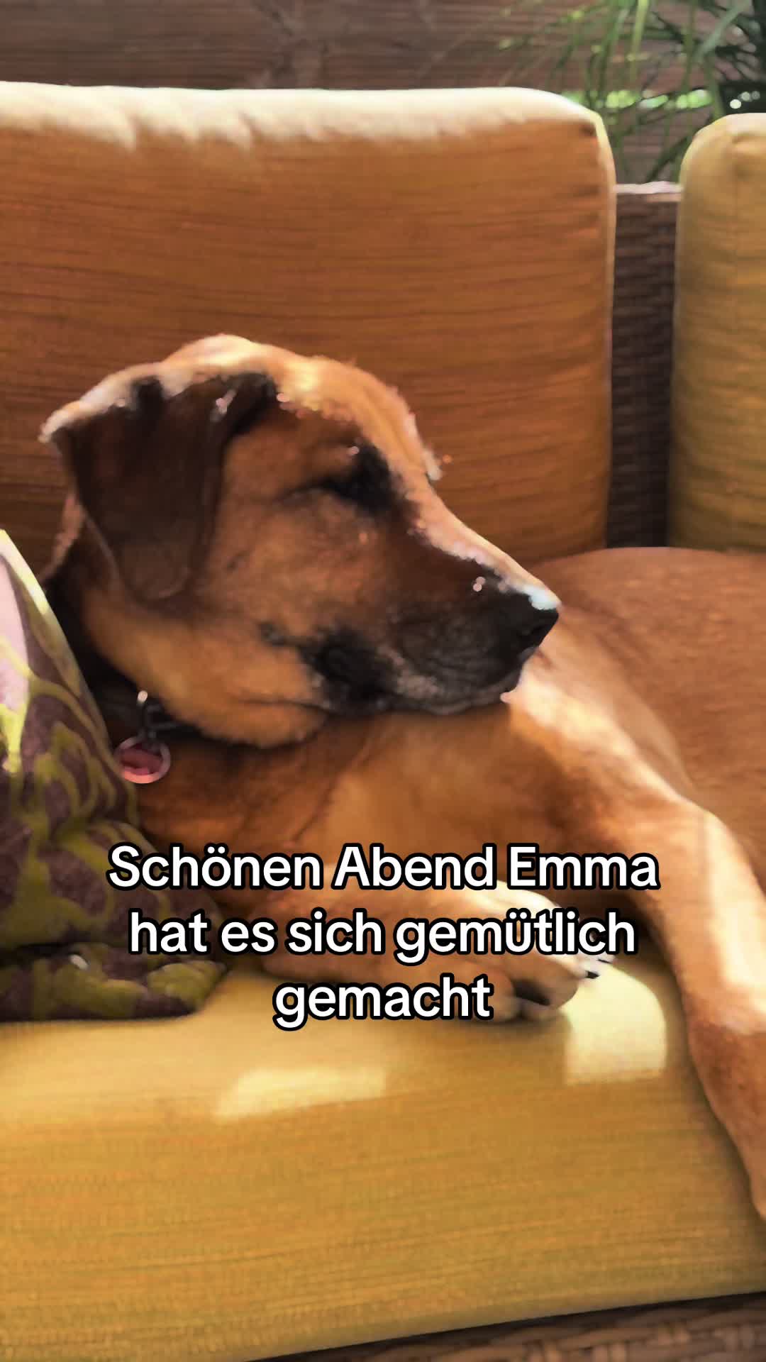 @Emma u.Biggi
