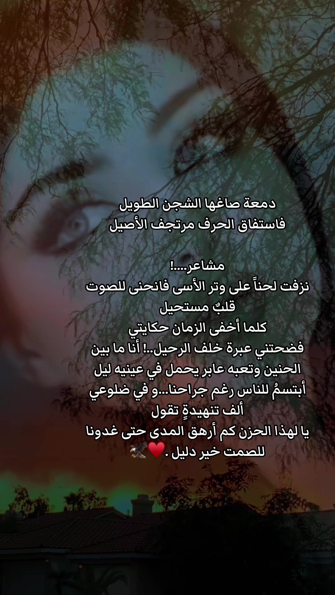 @💕شيهانة الجنوب💕