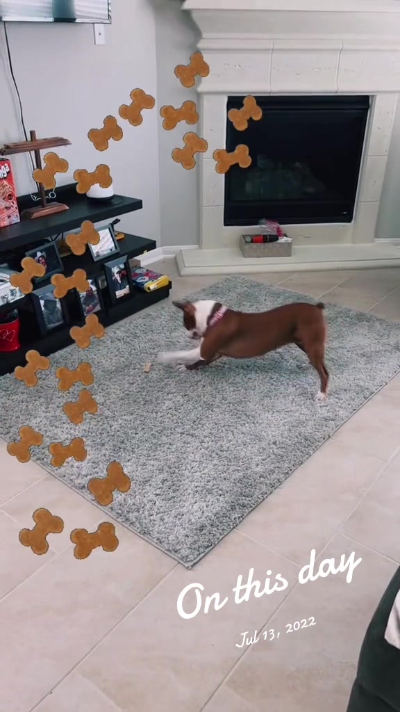 @D_Rekks
