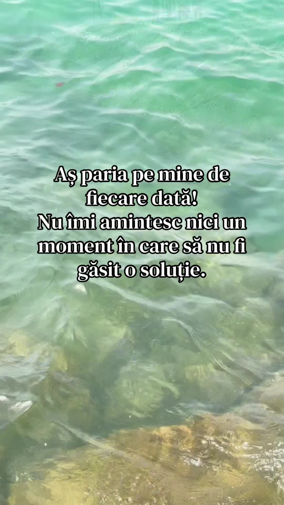 @Anca Simon