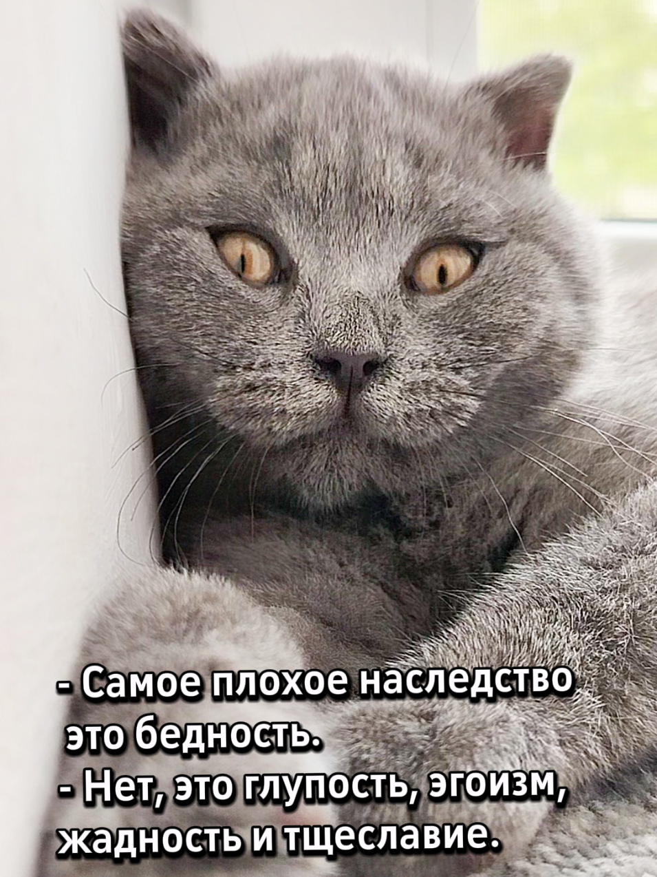 @😻Риччи&Джесси🐈Масик👼&Андрей
