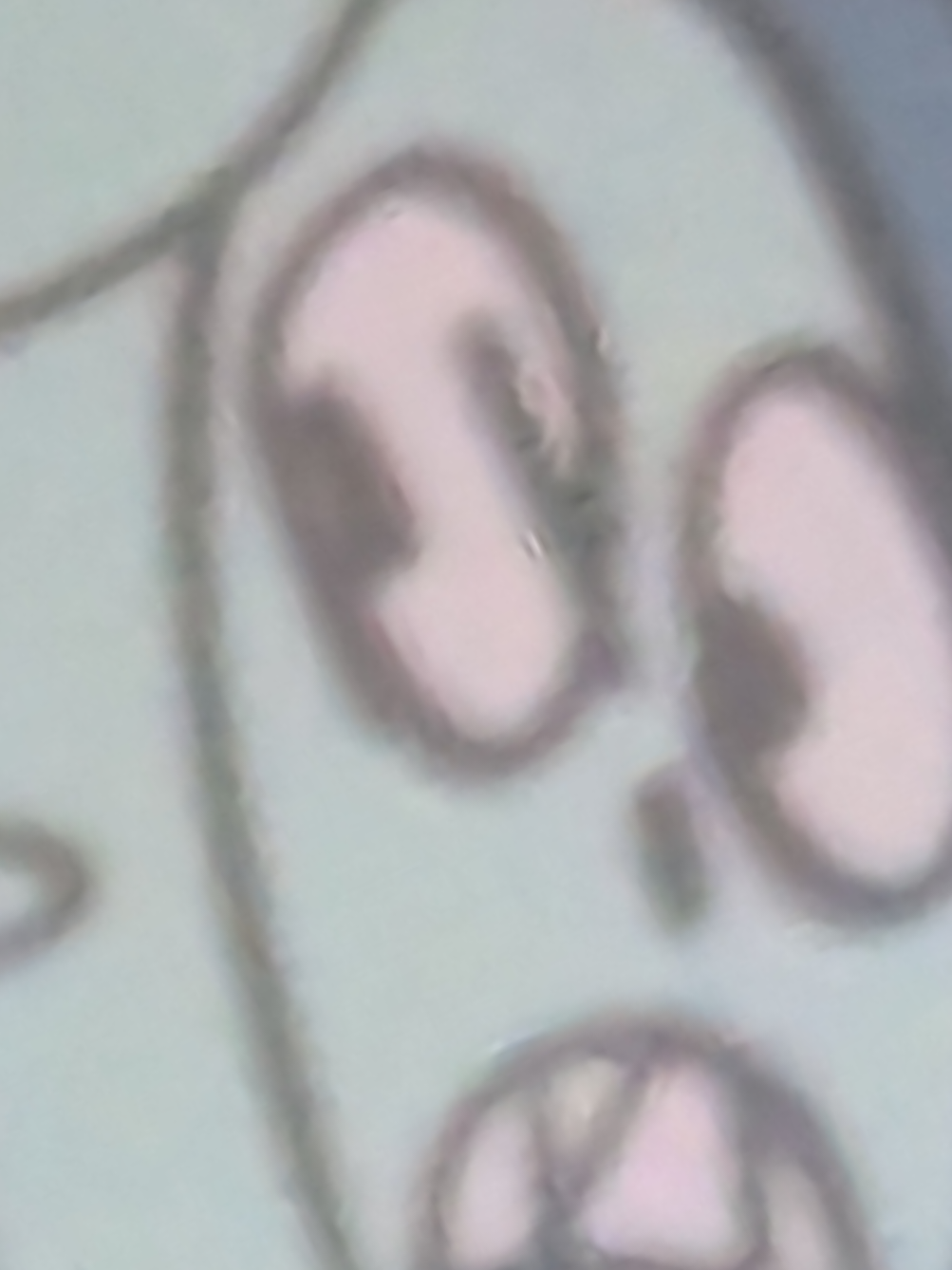 @DJUK (DJ Unikitty)