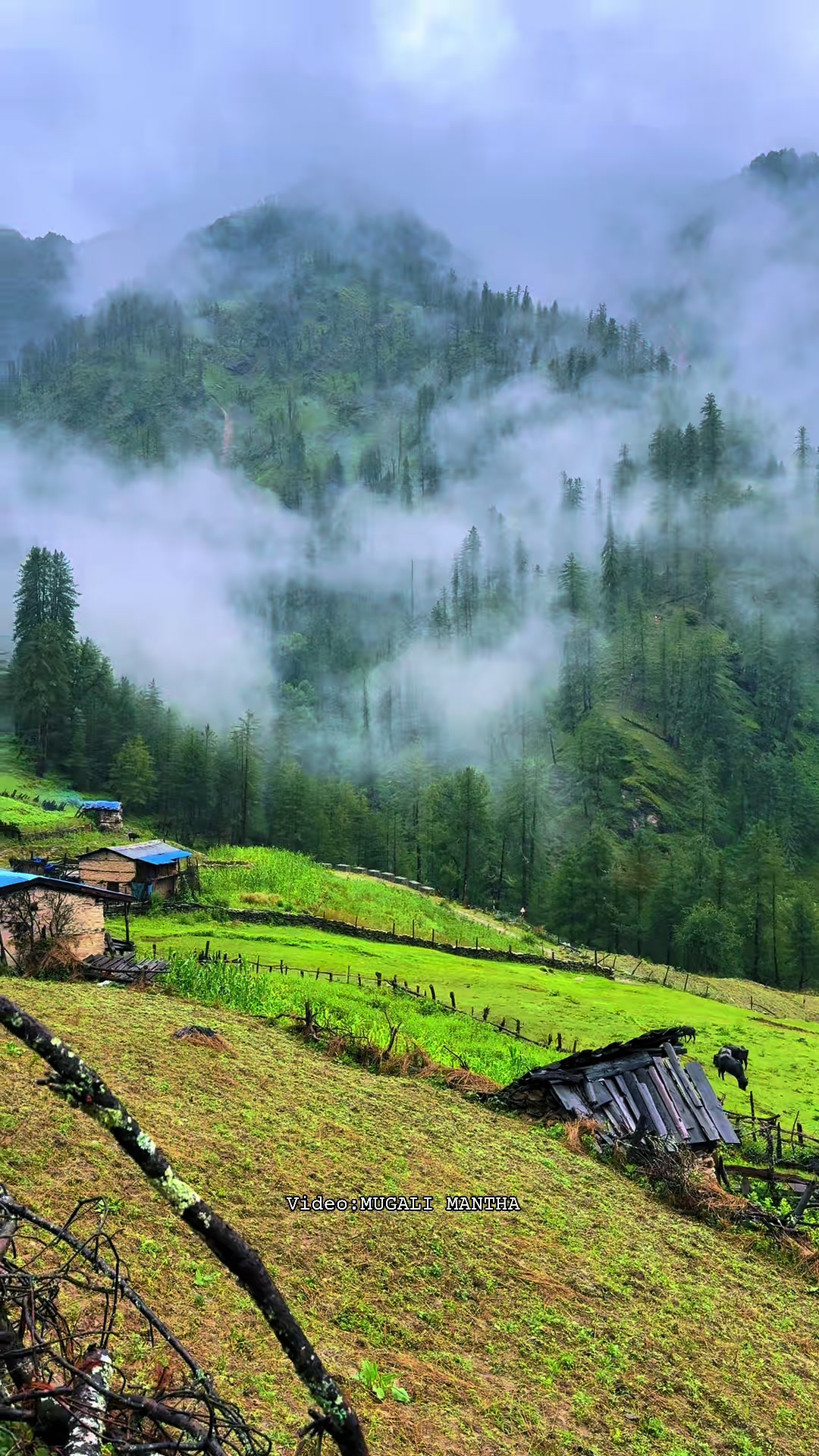 @मुगालि मान्ठ🇳🇵