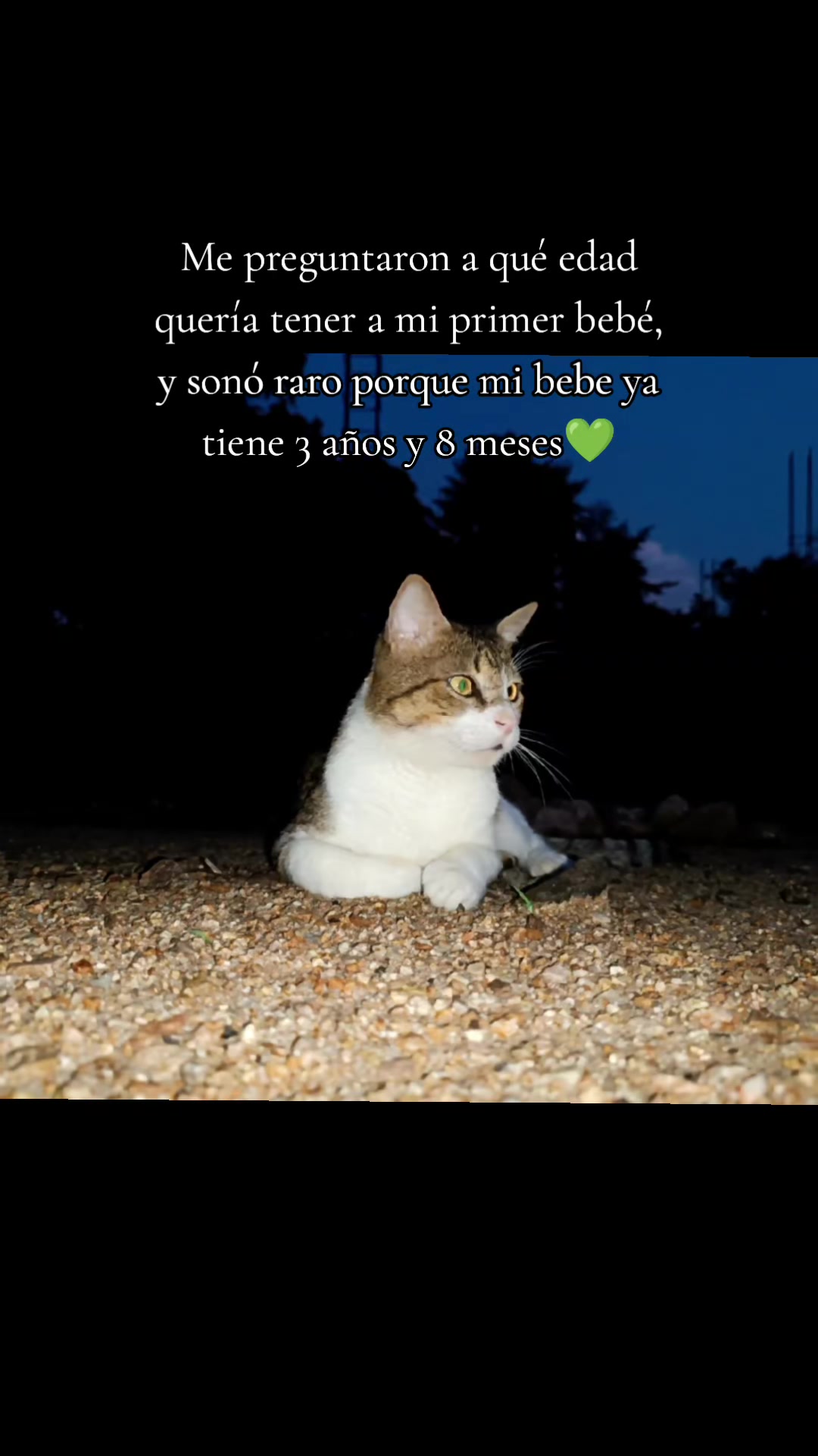 @🦋Estefany🦋