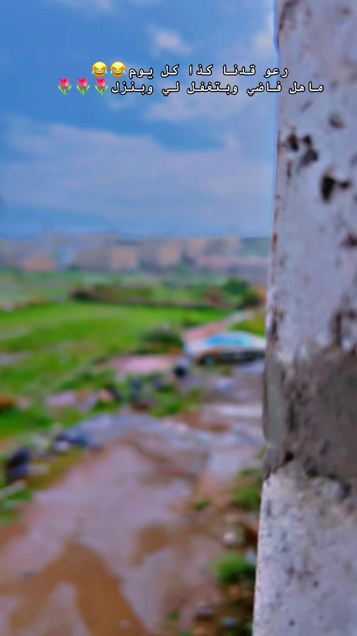 @العوذلي ابن البيضاء-لزيب🇾🇪