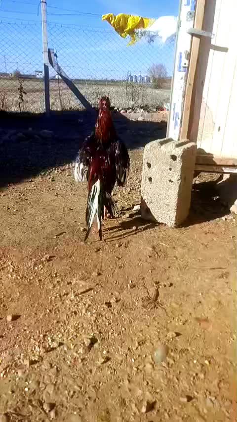 @YAVUZ TARIM🌻🌾🌾🇹🇷🚜