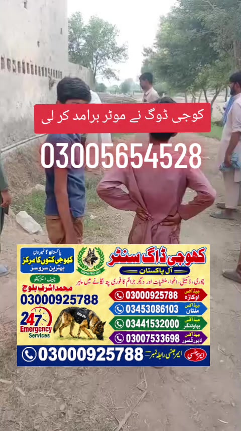 @khoji dog contact number