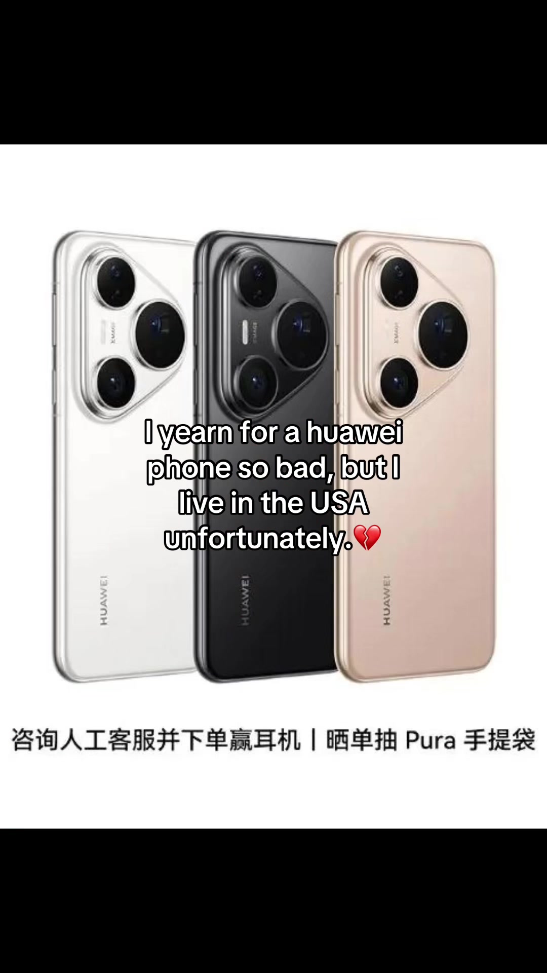 @aurora🕸️ 𰻝