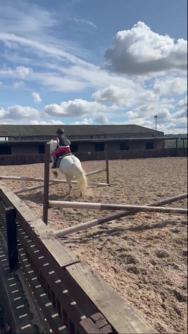 @LottiesHorseAdventures🦄🐴