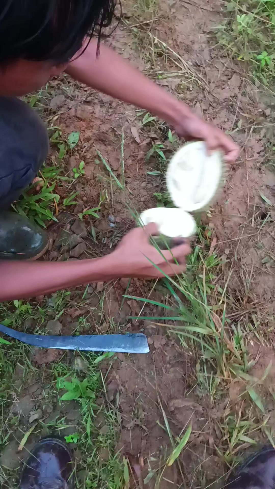 @Bongkek 439