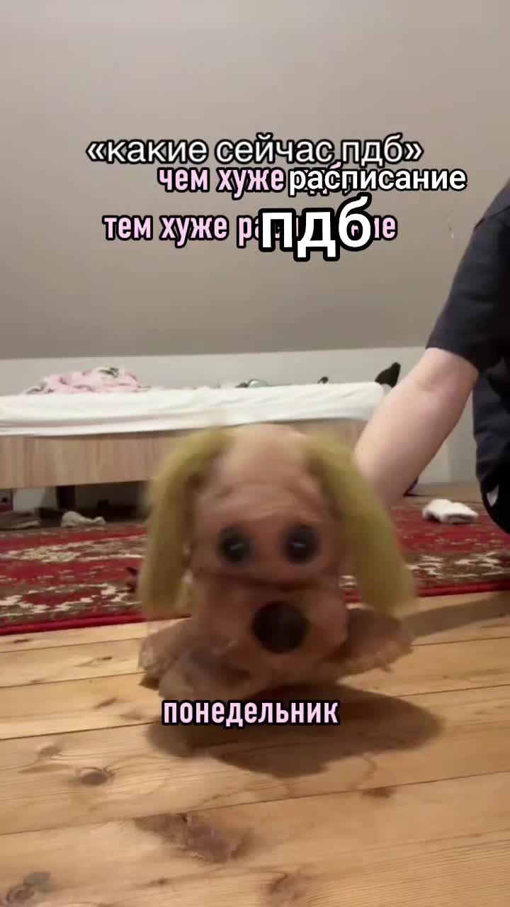 @🍦АБРИКОС🌫️[PDB] [ESSA]