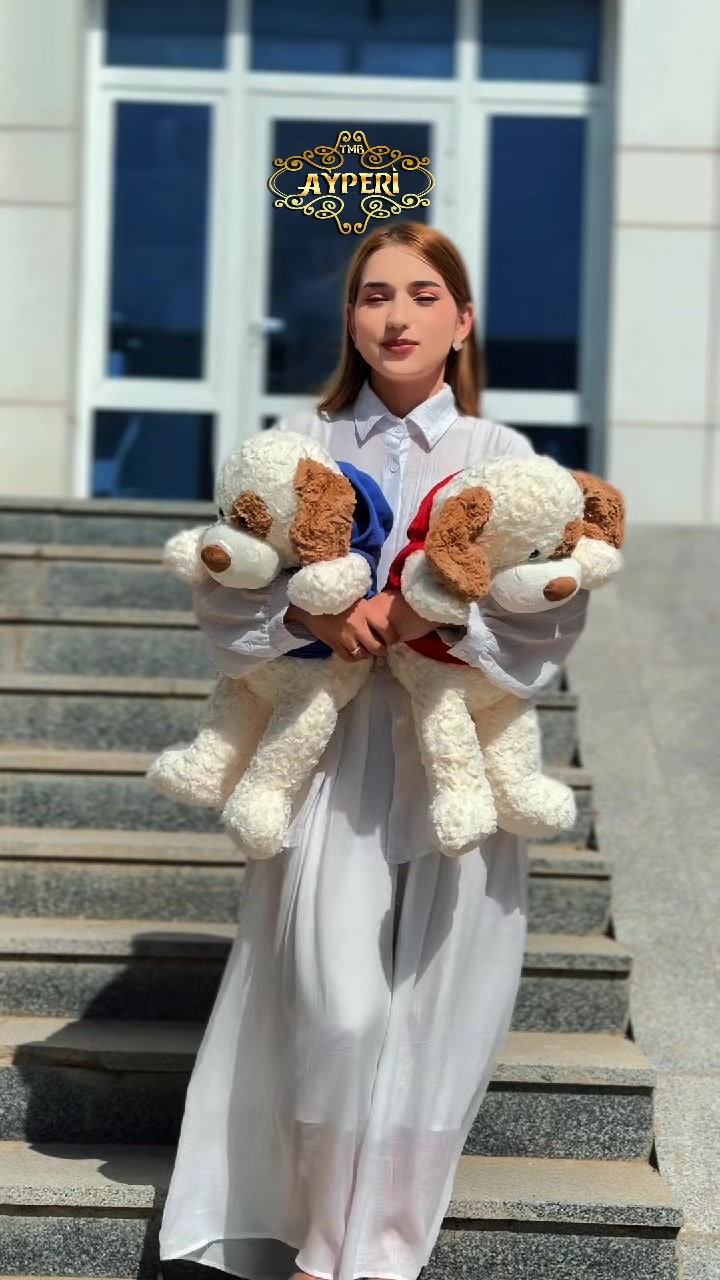 @Ayperi_çaga_maşyn_bezegleri