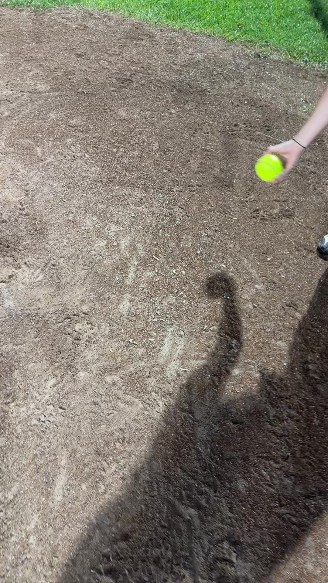 @prosoftballplayers